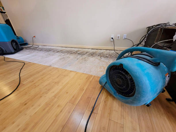 Reliable Structural Drying And Dehumidification contractor in Lafayette, NJ by Hirex Water Damage