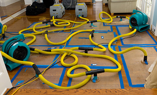 Professional Structural Drying And Dehumidification technician working in Lafayette, NJ