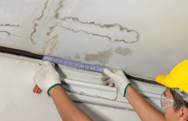 Affordable Water Damage Repair solutions in Lafayette, NJ